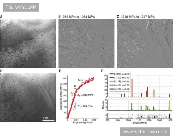 帕尔梅拉斯战术体系全解析:运转机理揭示
