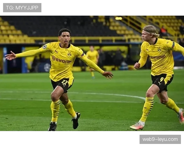 德甲球队活跃转会市场，新签约动态引发广泛关注