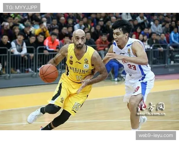 年轻才俊崭露头角：实力解析与未来展望引关注